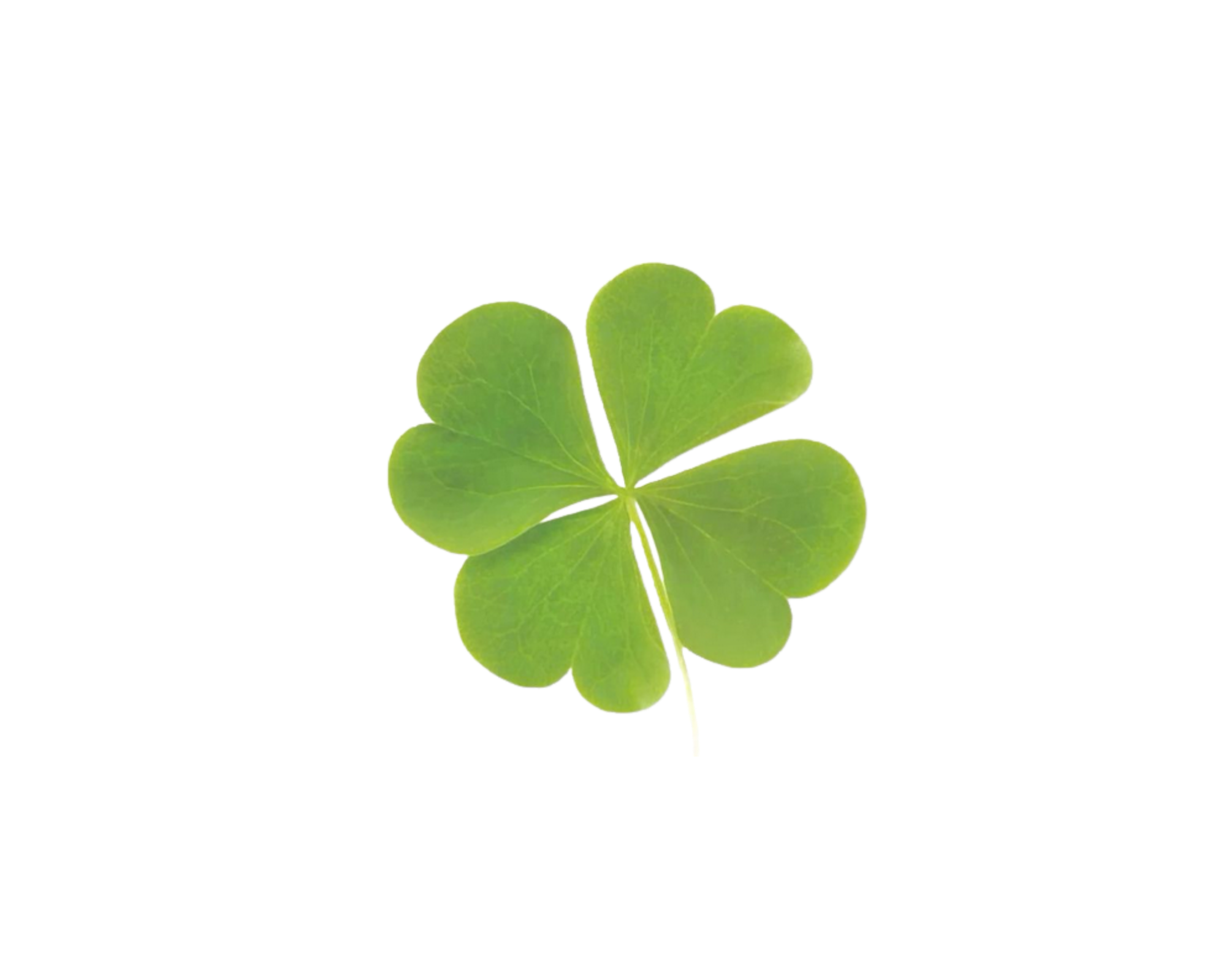 clover